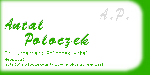 antal poloczek business card